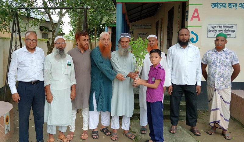 জায়েদা স্কুলে তুলসী গাছের চারা বিতরণ