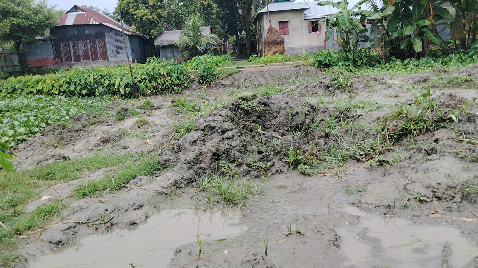 সরকারি বরাদ্দে নির্মিত রাস্তা কেটে ফেলায় দুর্ভোগ, প্রশাসনের হস্তক্ষেপ দাবি