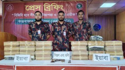 সীমান্তে অস্ত্র-গোলাবারুদসহ ২ লাখ ৪৬ হাজার ইয়াবা জব্দ