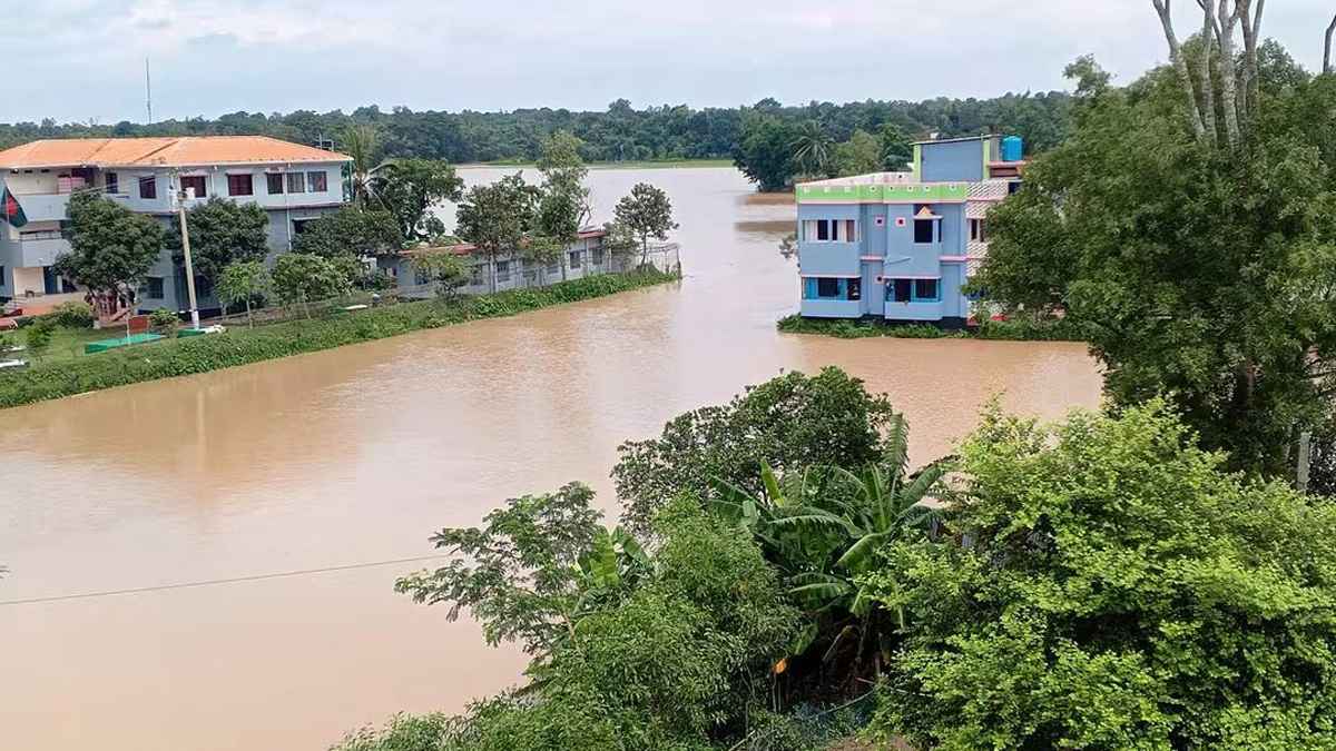 পাহাড়ি ঢলে আখাউড়ায় তলিয়ে গেছে ২৫০ হেক্টর ফসলি জমি