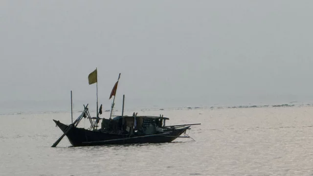 পদ্মায় ইলিশের সংকট, বিপাকে হাজারো জেলে পরিবার