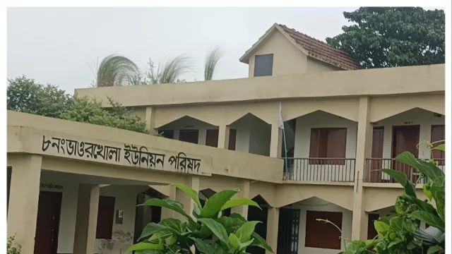 ইউপি ভবনের ছাদে কাশবন, নষ্ট হচ্ছে কোটি টাকার স্থাপনা