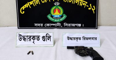 যমুনাপাড়ের কাশবনে মিলল দেশীয় রিভলবার-গুলি