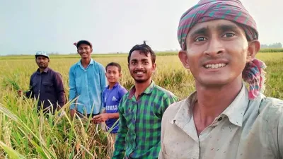 বাবার কষ্ট কমাতে শিক্ষিত দুই ভাইয়ের কৃষিযুদ্ধ