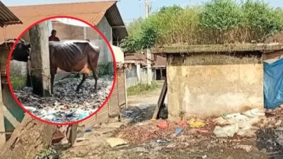 দেড় কোটি টাকা রাজস্ব, শালবাহান হাটে নেই স্যানিটেশন-বর্জ্য ব্যবস্থাপনা