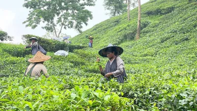 ৭৮০০ টাকার ভাতা, শ্রমিকদের কেউ পেলেন ৩ হাজার, কেউ ৩৫০০
