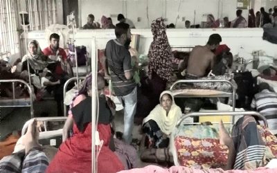 যশোরে একদিনে ডেঙ্গু শনাক্ত ৩২, হাসপাতালে ভর্তি ১০১