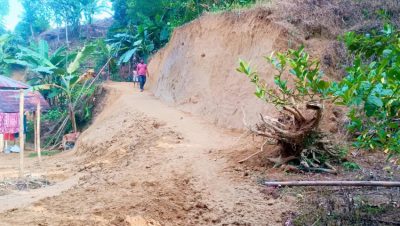 রাতের আঁধারে টিলা কেটে নির্মাণ, বিপন্ন কমলগঞ্জের জীববৈচিত্র্য