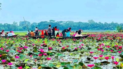 প্রকৃতির রঙে সাজা সাতলা বিল টানছে পর্যটকদের
