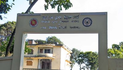পরিত্যক্ত তুঁতবাগান, পড়ে আছে ভবন—নিভু নিভু ঝিনাইদহের রেশম শিল্প