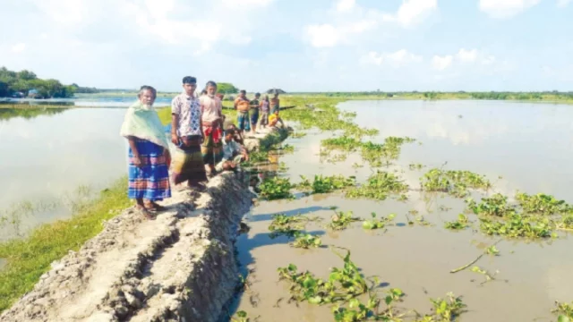 ঝুঁকিপূর্ণ বাঁধে নতুন ফাটল, আতঙ্কে কপোতাক্ষপাড়ের মানুষ