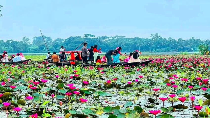 প্রকৃতির রঙে সাজা সাতলা বিল টানছে পর্যটকদের