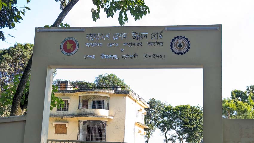 পরিত্যক্ত তুঁতবাগান, পড়ে আছে ভবন—নিভু নিভু ঝিনাইদহের রেশম শিল্প