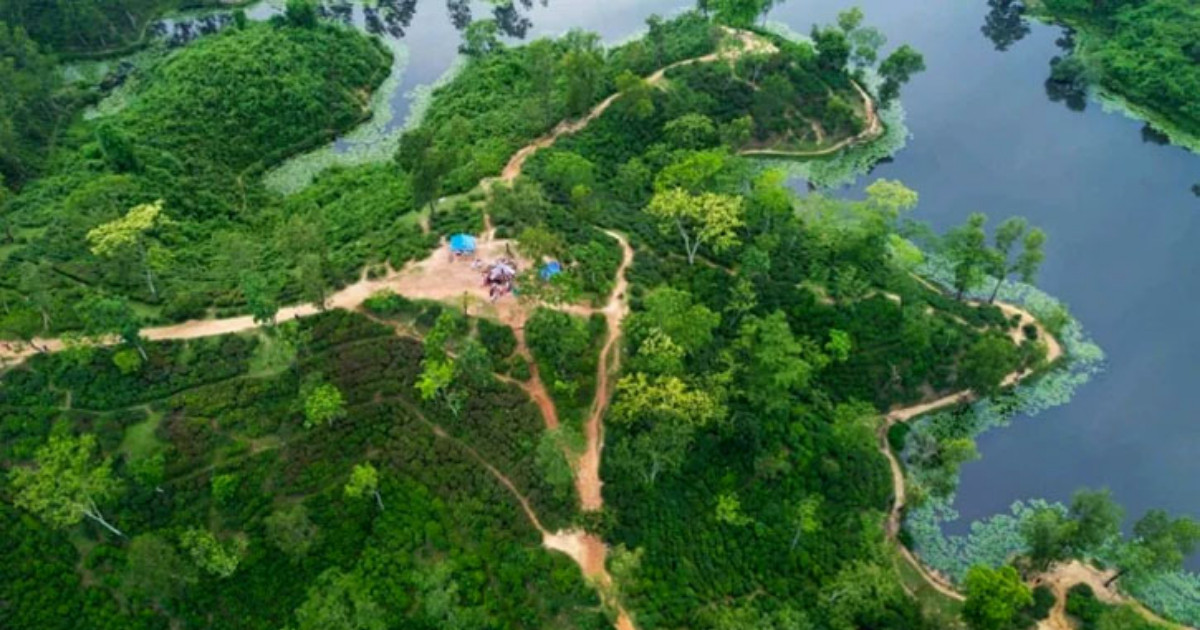 চা-বাগান, ঝরনা আর হাওর টানছে পর্যটক, প্রস্তুত মৌলভীবাজার