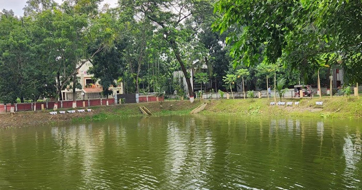 পুকুর দখল-ভরাট বন্ধে ৫ শহরে মনিটরিং কমিটি গঠনের নির্দেশ