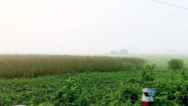 কুমিল্লার ভোরে ঘন কুয়াশা, শীতের আগমনী বার্তা