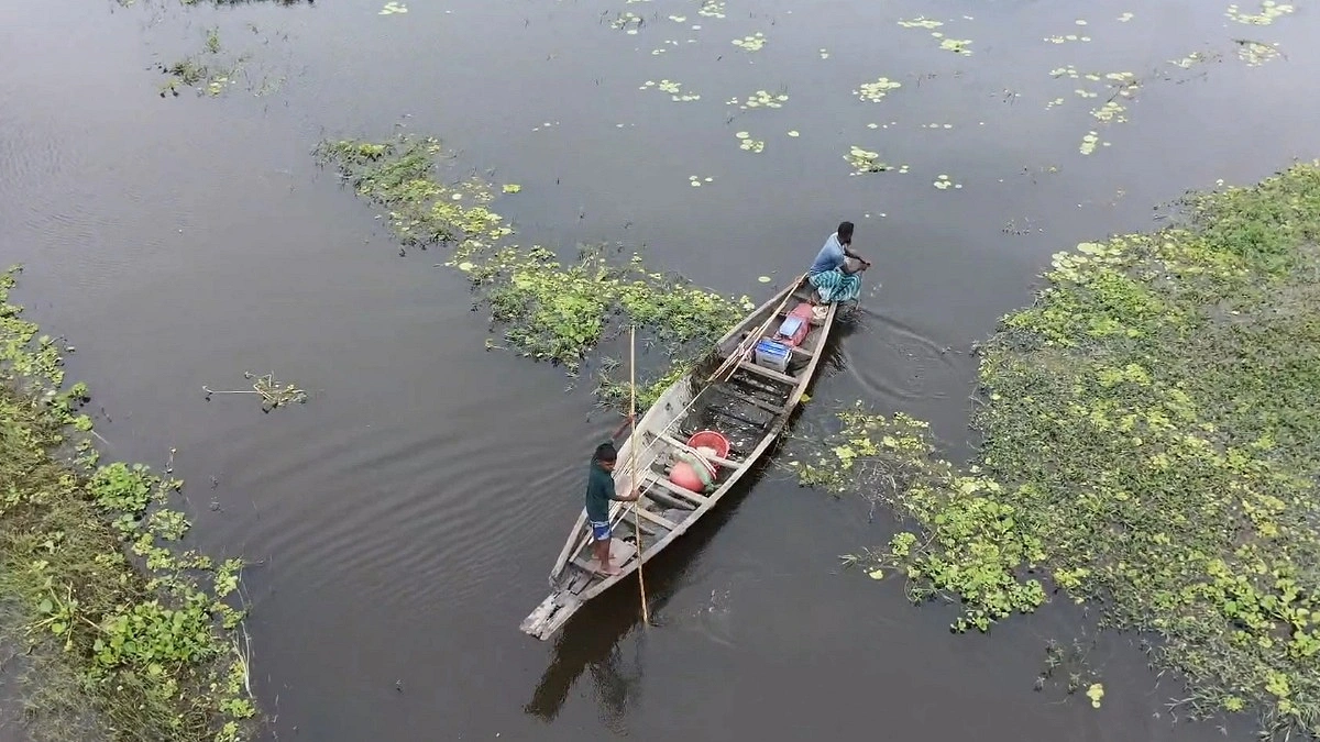 বৈদ্যুতিক শক মেশিনে মাছ শিকার, হুমকিতে নিকলীর জীববৈচিত্র্য