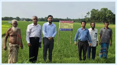 সৌরশক্তির সেচে জেগে উঠছে নবীনগরের পতিত জমি