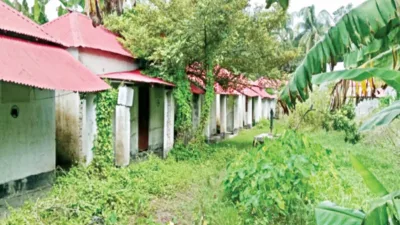 জলাবদ্ধতা-ঝোপঝাড়ে বসবাসের অনুপযোগী আশ্রয়ণ, ছেড়েছেন অধিকাংশ পরিবার
