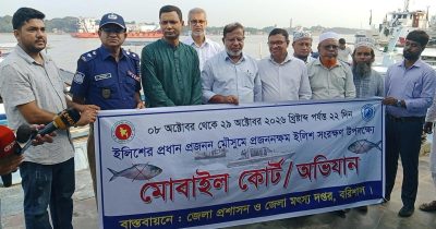 মা ইলিশ রক্ষা হলে বাড়বে ইলিশের উৎপাদন: মৎস্য সচিব