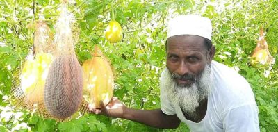 বাড়ি তৈরির জমিতে তরমুজের বাগান, আব্দুস শহীদের চোখে লাখ টাকার স্বপ্ন