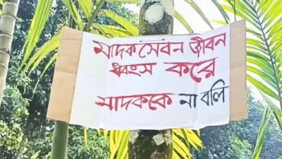 পুরোনো কার্টনেই বড় উদ্যোগ, বন্ধুদের নিয়ে সমাজ বদলাতে চায় মুগ্ধ