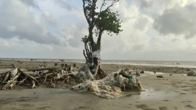 জাল-প্লাস্টিকের ফাঁসে হুমকিতে লেম্বুরবনের জীববৈচিত্র্য