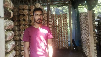 ছোট ঘরে মাশরুম চাষ, বদলে গেছে আব্দুল মোমিনের জীবন