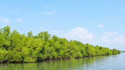সুন্দরবনের পানি-মাটিতে প্লাস্টিক দূষণ, মাছে সিসা-নিকেল-তামা