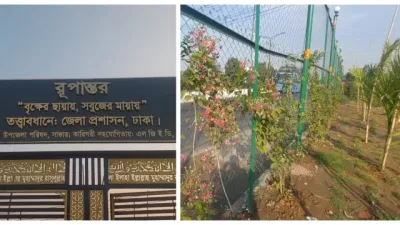 ময়লার ভাগাড় থেকে সবুজ উদ্যান, আমিনবাজারে রোপণ ৬ হাজার ৯৩০ গাছ