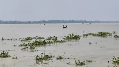 নিষেধাজ্ঞার মধ্যেই পায়রা নদীতে  ইলিশ শিকার
