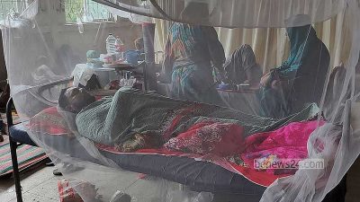 ডেঙ্গুতে এক দিনে ৬ জনের মৃত্যু, চলতি বছরে প্রাণ গেল ২৫৬ জনের