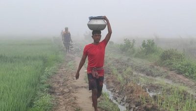 কার্তিকেই কুয়াশার চাদরে মেহেরপুর, এবার কি শীতের তীব্রতা বাড়বে?