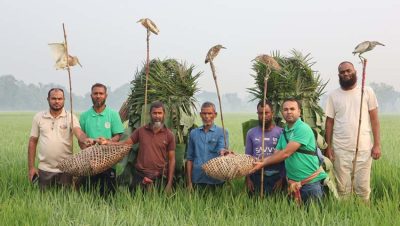 ফাঁদ, বিষটোপে চলছে পাখি শিকার, বিপন্ন চলনবিলের জীববৈচিত্র্য