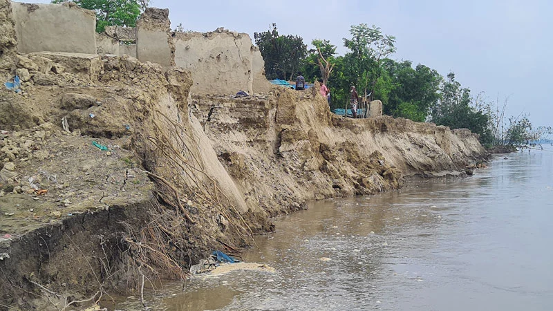 পদ্মায় বিলীন ২০০ ঘরবাড়ি, ভিটেমাটি হারিয়ে দিশাহারা মানুষ