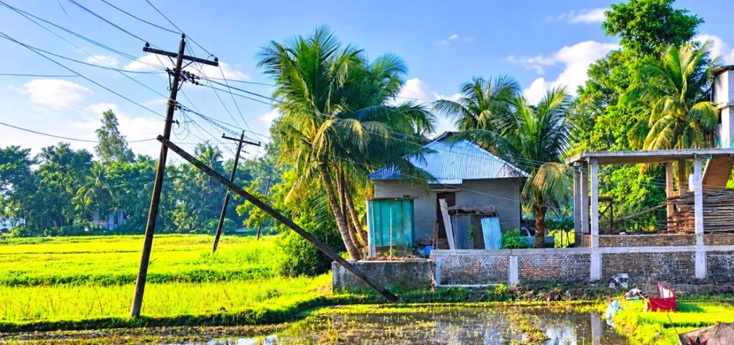 আড়াই বছর ধরে ফসলের মাঠে বিদ্যুতের মরণফাঁদ