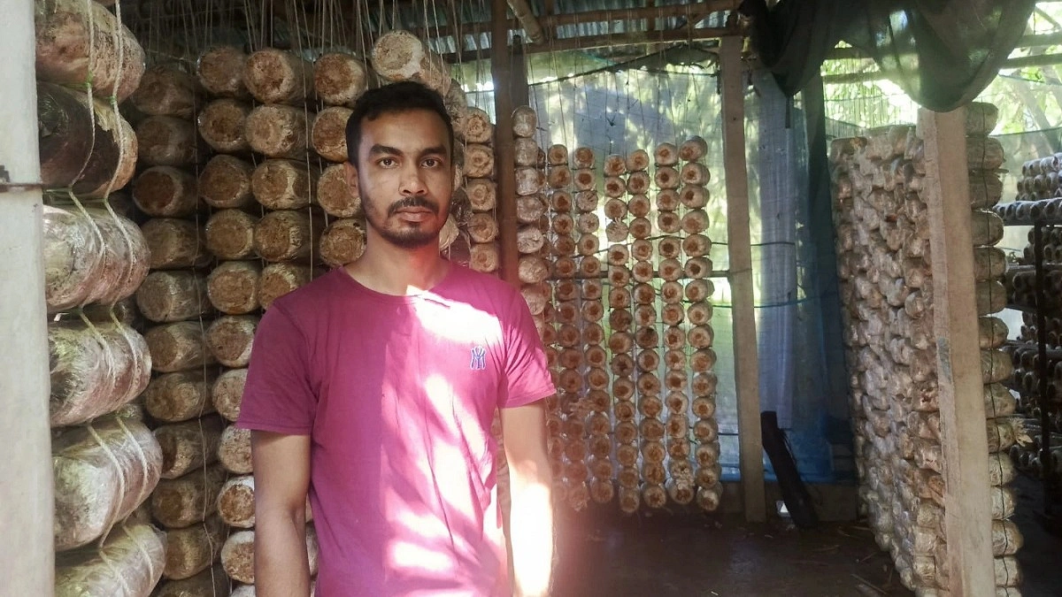 ছোট ঘরে মাশরুম চাষ, বদলে গেছে আব্দুল মোমিনের জীবন