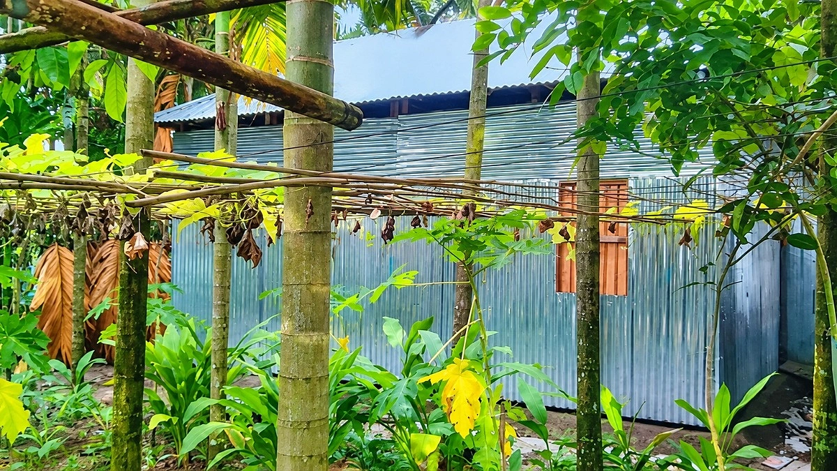 কর্মীদের বাড়ি ও ভাড়া ঘরেই চলছে রাজারহাটের ডাকঘর
