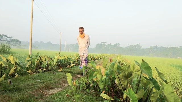 ভোরে শীতের ছোঁয়া, দুপুরে গরম দুমকিতে
