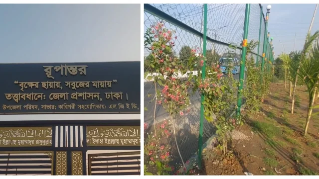 ময়লার ভাগাড় থেকে সবুজ উদ্যান, আমিনবাজারে রোপণ ৬ হাজার ৯৩০ গাছ