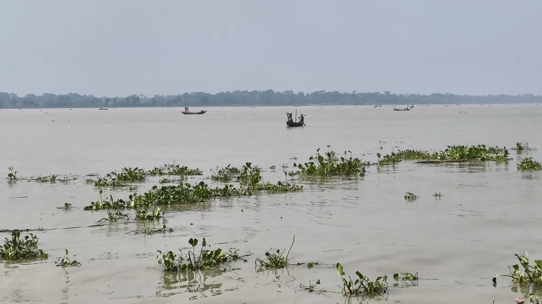 নিষেধাজ্ঞার মধ্যেই পায়রা নদীতে  ইলিশ শিকার