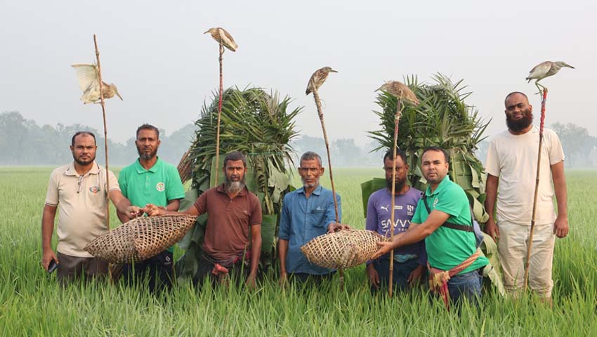 ফাঁদ, বিষটোপে চলছে পাখি শিকার, বিপন্ন চলনবিলের জীববৈচিত্র্য